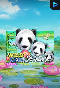 Bocoran RTP Wild Giant Panda di TOTOLOKA88 Generator RTP SLOT 4D Terlengkap